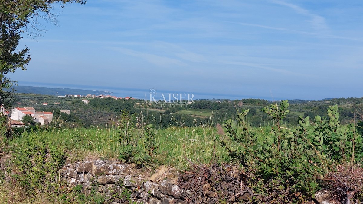 Istra, Momjan - vila s panoramskim pogledom na morje in naravo