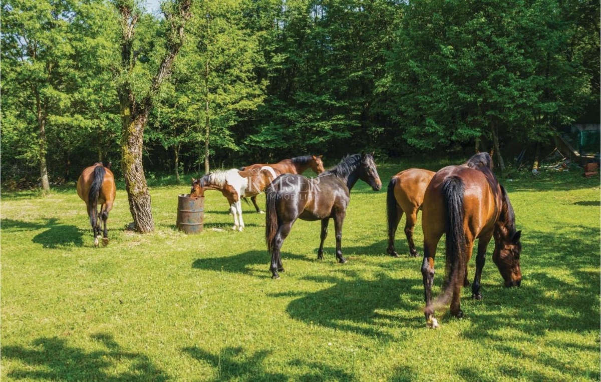 Mošćenička Draga - priložnost, hiša z bazenom in vrtom 980 m2