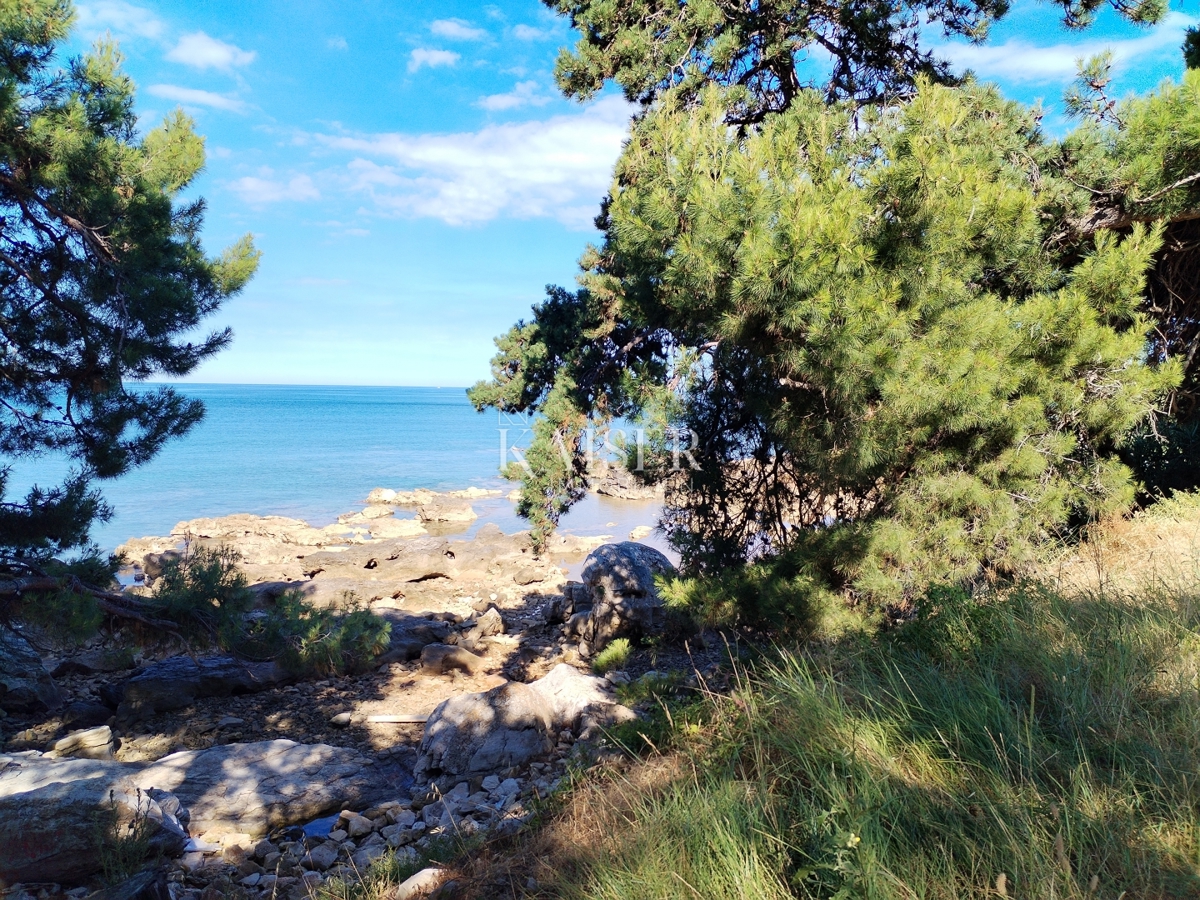 Istra, Umag, ekskluzivna lokacija, druga vrsta od morja, T1