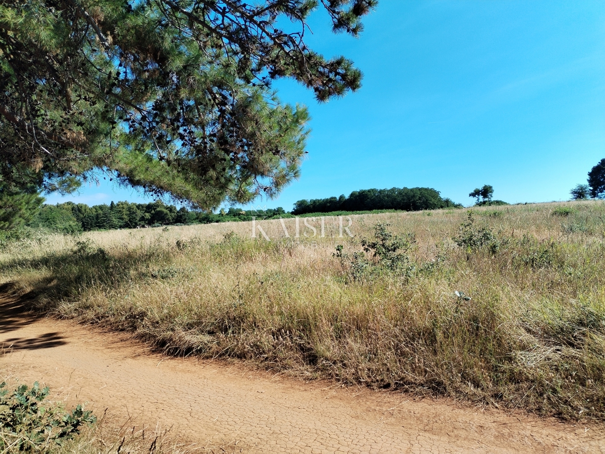 Istra, Umag, ekskluzivna lokacija, druga vrsta od morja, T1