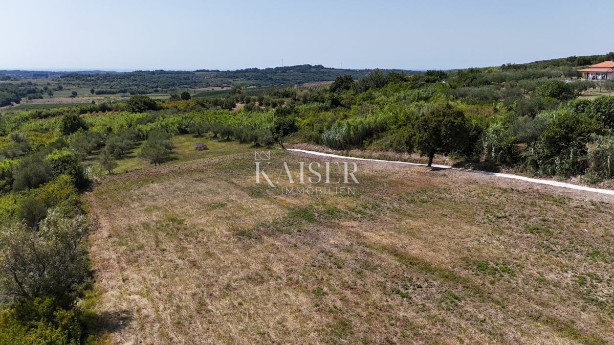  Zazidljivo zemljišče Buje, 1.032m2