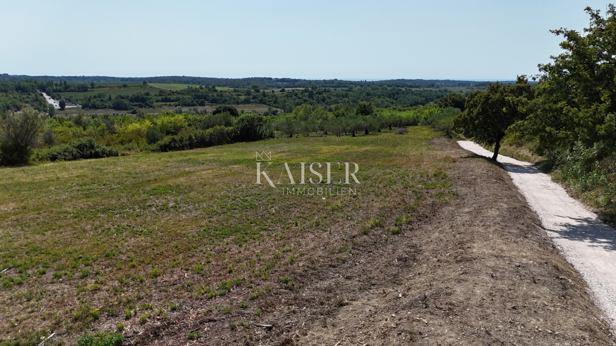  Zazidljivo zemljišče Buje, 1.032m2