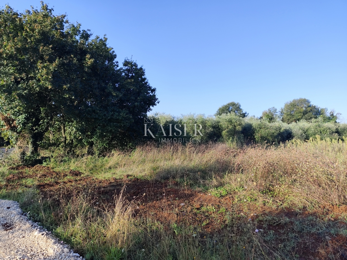 Istra, Vabriga - gradbeno zemljišče