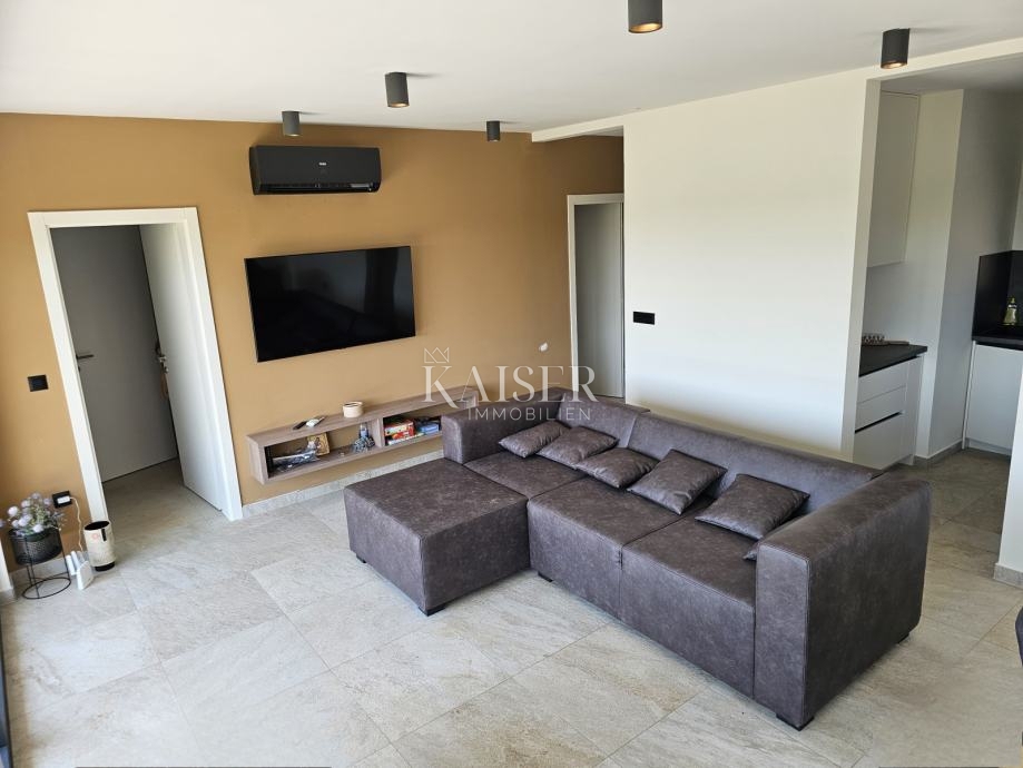 Istra, Tinjan - enonadstropna hiša z bazenom