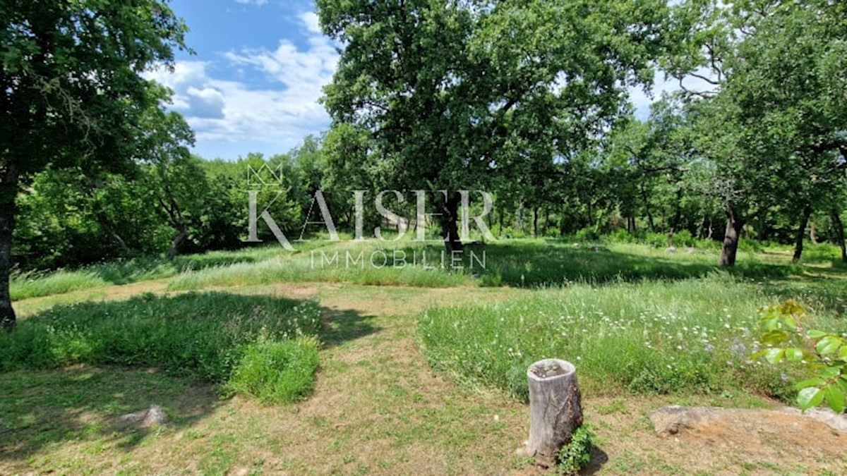 Istra - Lovreč, avtohtona istrska vila s posestvom