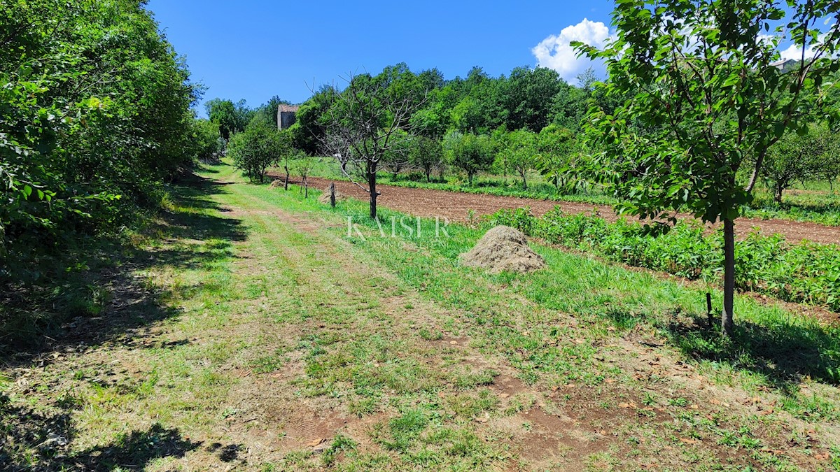 Labin - posest s hišo, 28.000