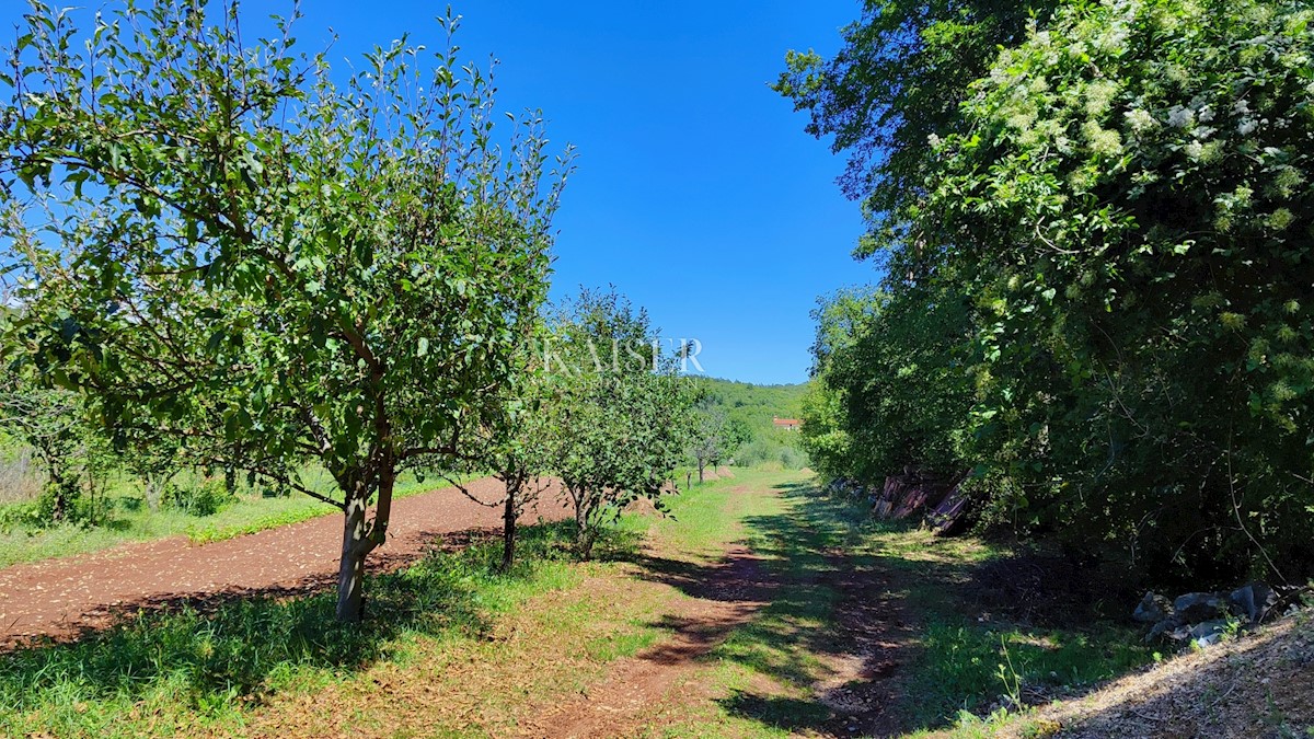 Labin - posest s hišo, 28.000