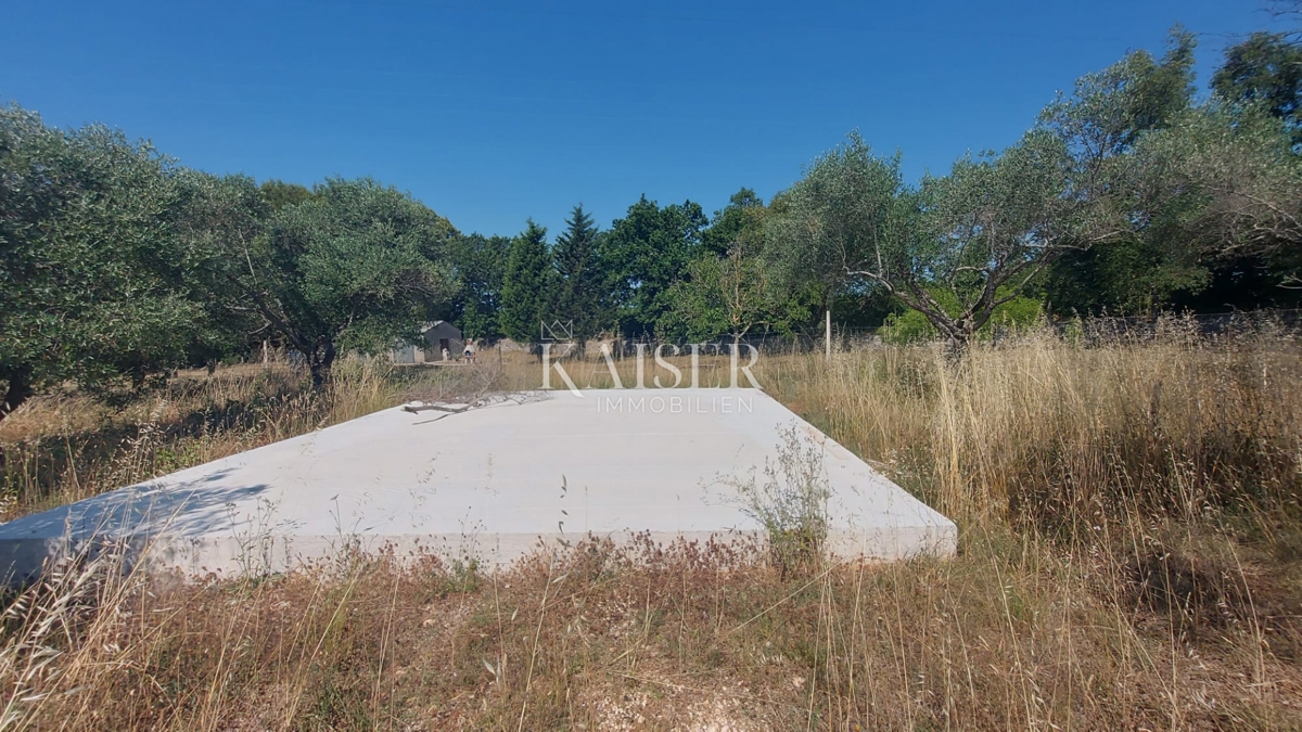 Istra, Vodnjan - Maslenik 2000m2 s 40 oljkami 
