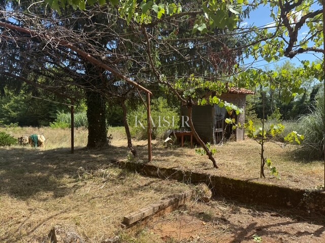 Žminj - družinska hiša na 6.454 m2 veliki parceli