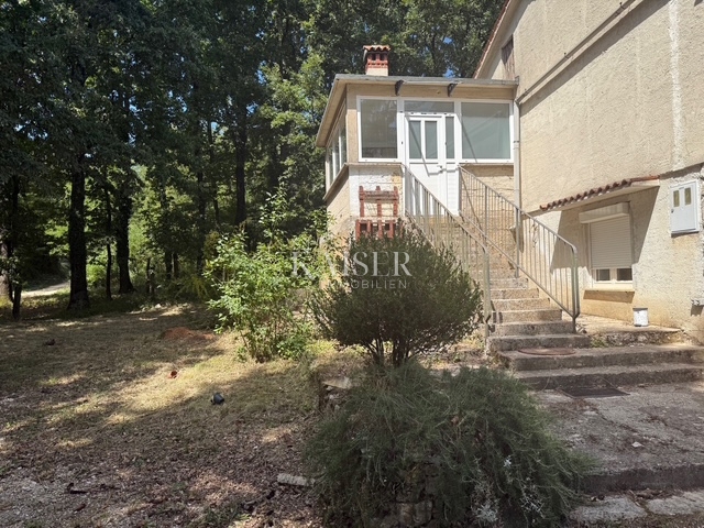 Žminj - družinska hiša na 6.454 m2 veliki parceli
