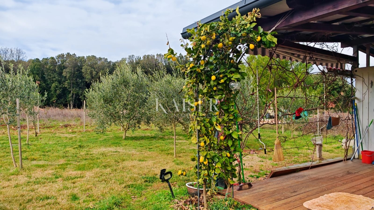 Istra, Pula - idilična hišica 70m2 na parceli 527m2