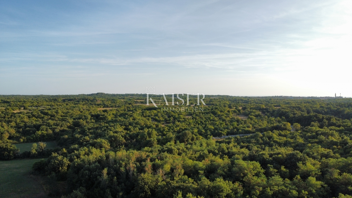 Vodnjan - gradbeno zemljišče z dovoljenjem in projektom