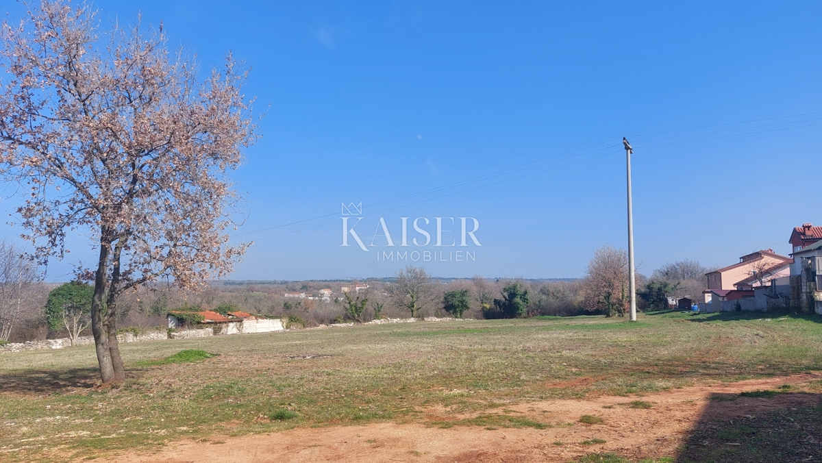 Istra, Umag, okolica - gradbeno zemljišče 4000m2, primerno za gradnjo stanovanj