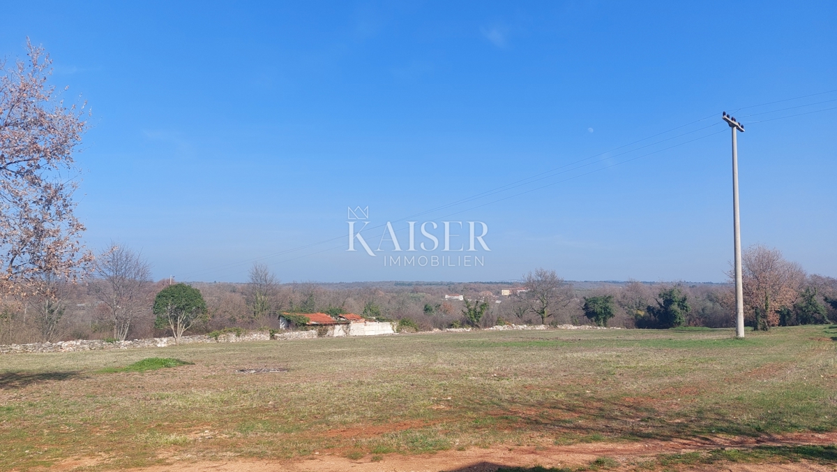 Istra, Umag, okolica - gradbeno zemljišče 4000m2, primerno za gradnjo stanovanj