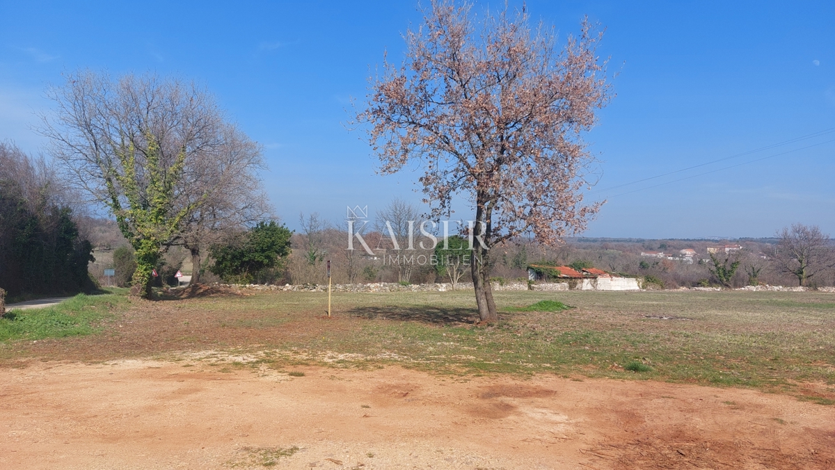 Istra, Umag, okolica - gradbeno zemljišče 4000m2, primerno za gradnjo stanovanj