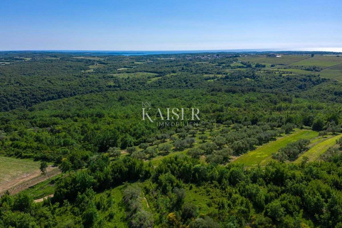 Istra, Buje - Hiša 150m2 z bazenom in pogledom na morje