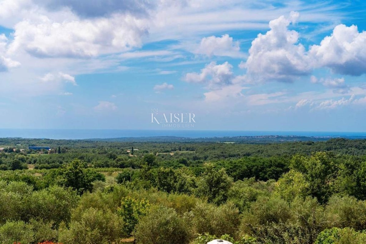 Istra, Višnjan, hiša z bazenom in prekrasnim pogledom na morje