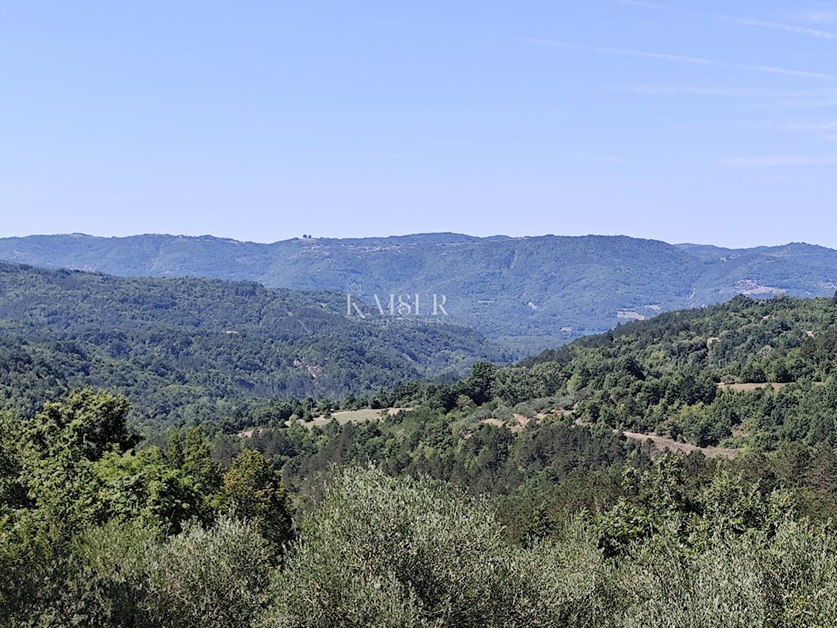 Istra, Buzet - stara hiša z zazidljivim zemljiščem