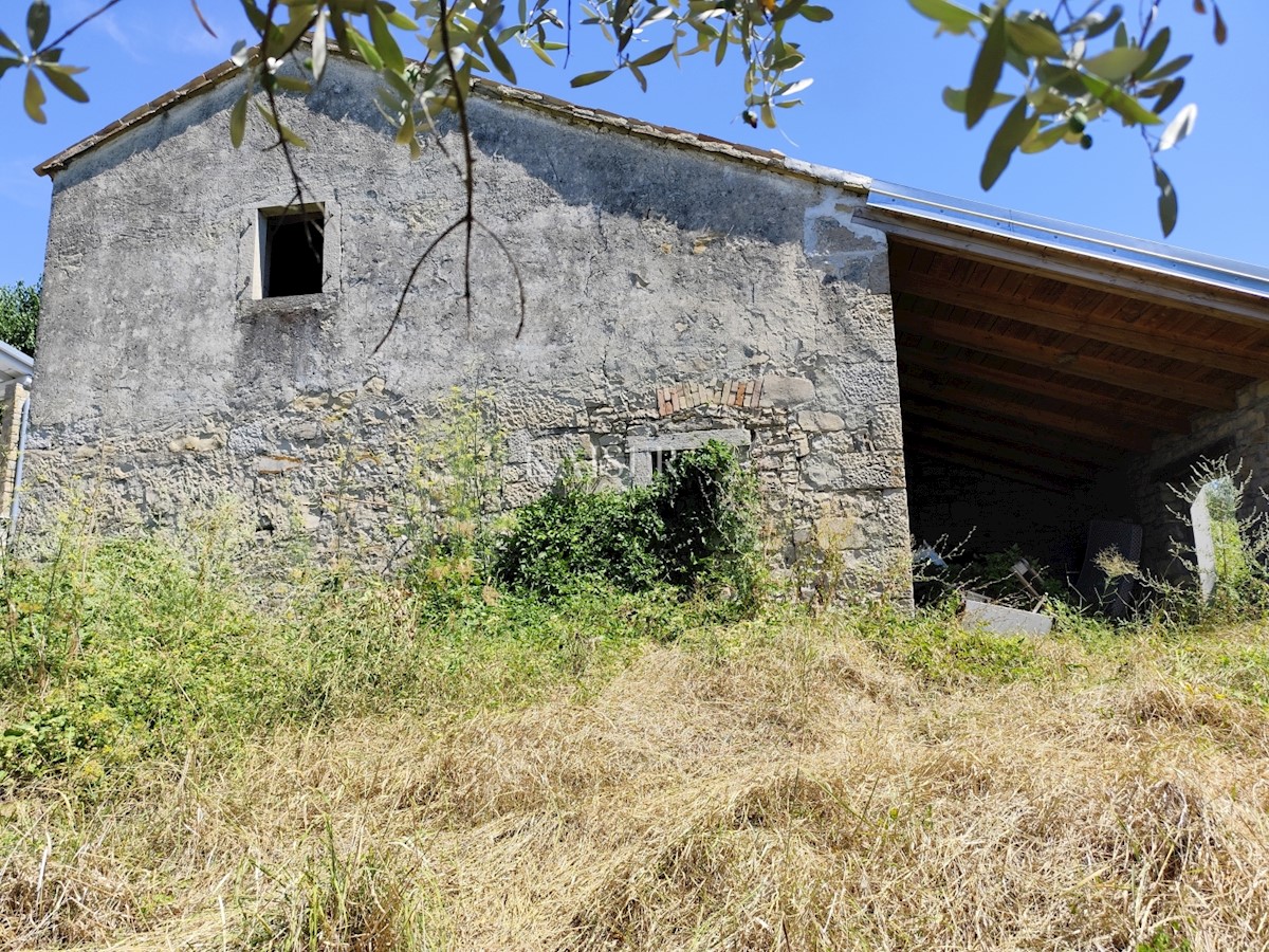 Istra, Buzet - stara hiša z zazidljivim zemljiščem