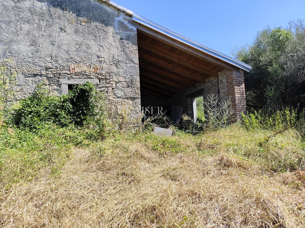 Istra, Buzet - stara hiša z zazidljivim zemljiščem