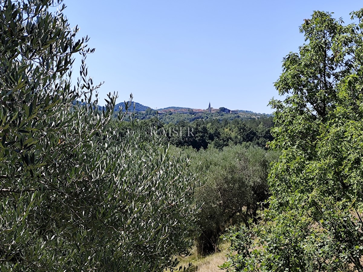 Istra, Buzet - stara hiša z zazidljivim zemljiščem