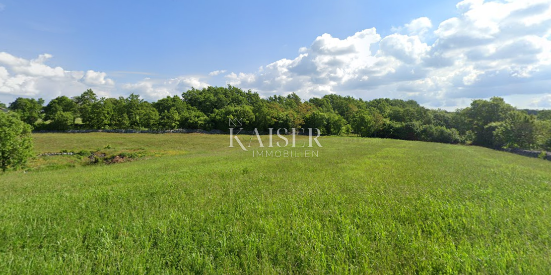 Istra, Sveti Petar u Šumi - kmetijsko zemljišče 10.000m2 v bližini gradbenega območja