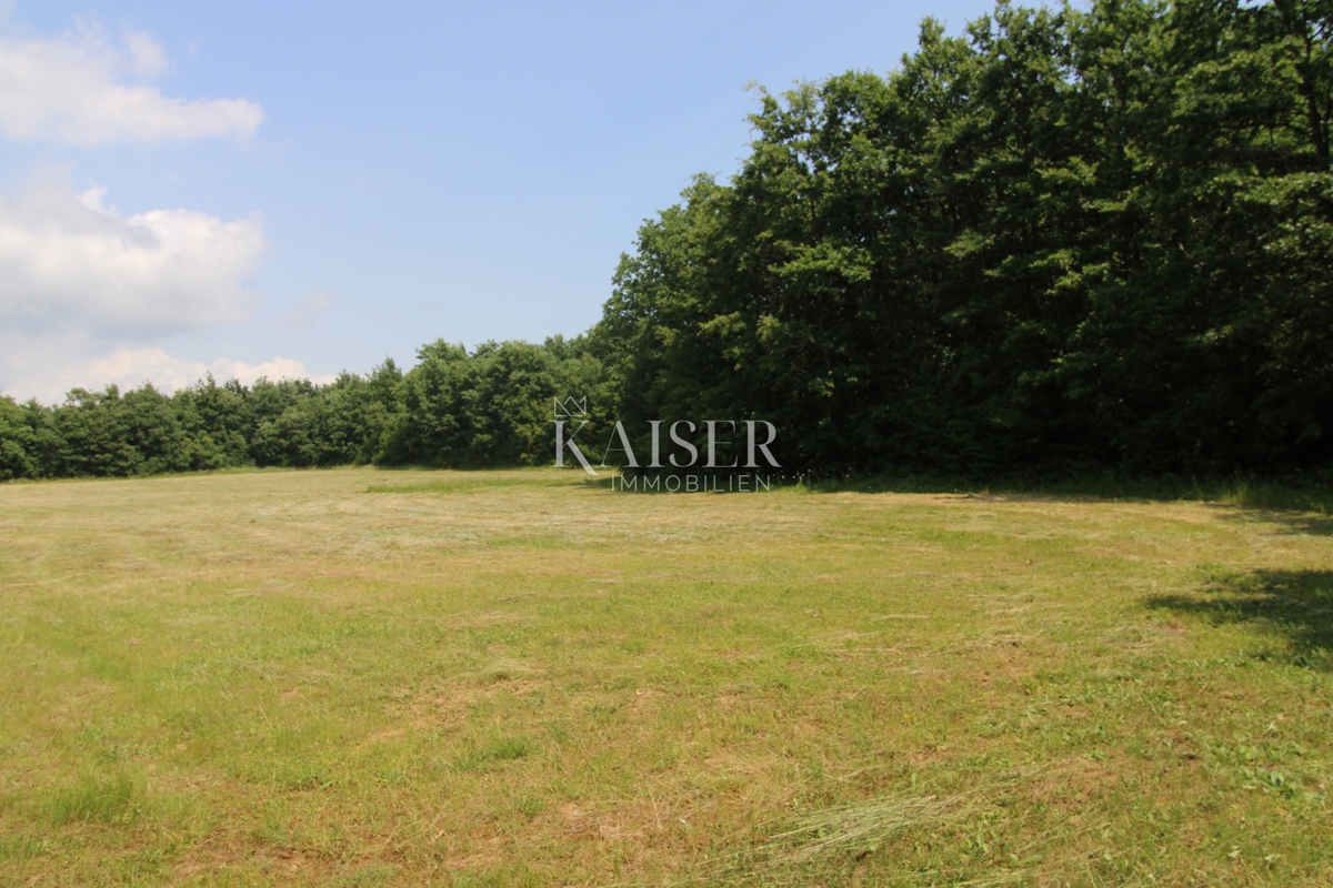 Kmetijsko zemljišče Labin, 13.720m2