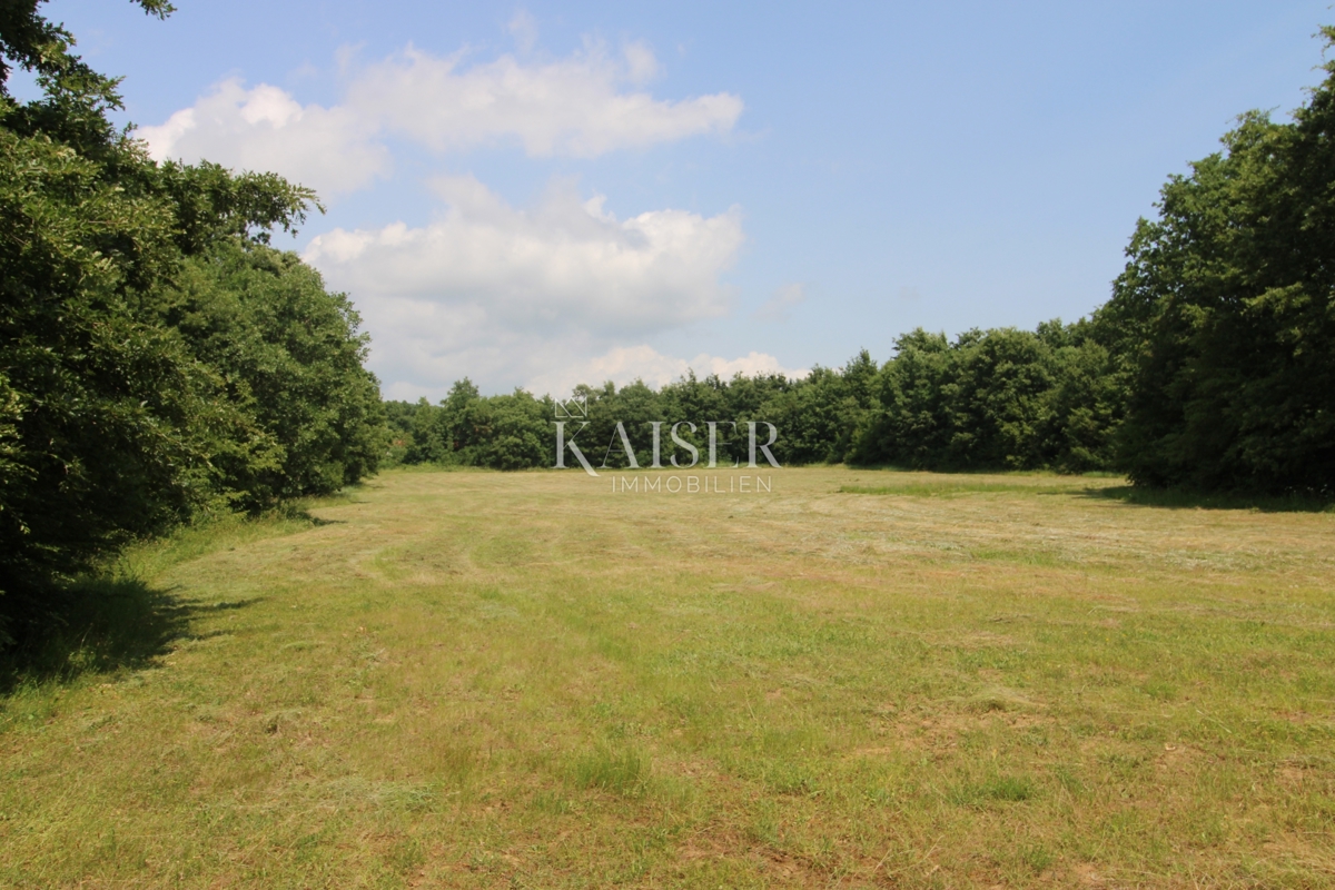 Kmetijsko zemljišče Labin, 13.720m2