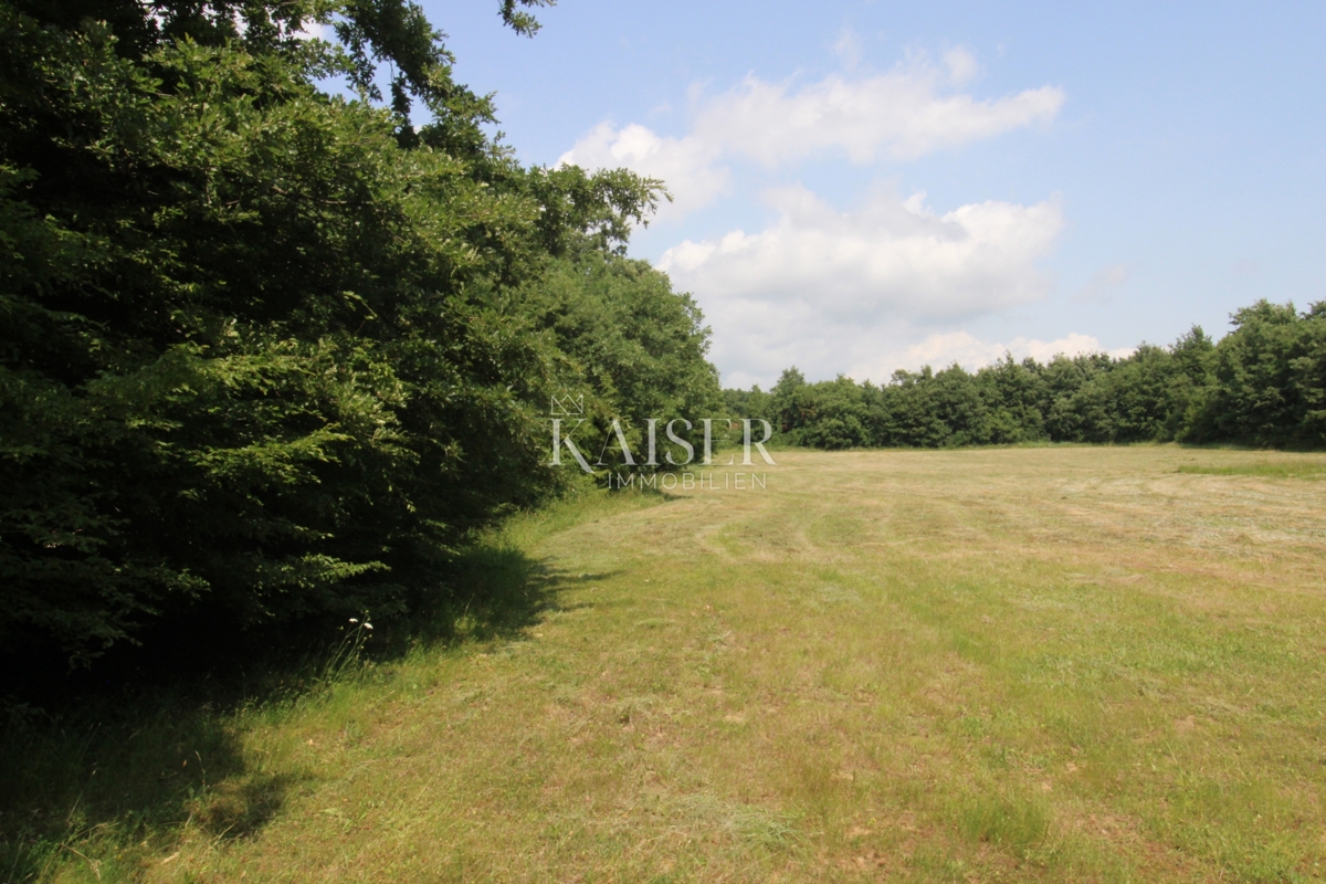 Kmetijsko zemljišče Labin, 13.720m2