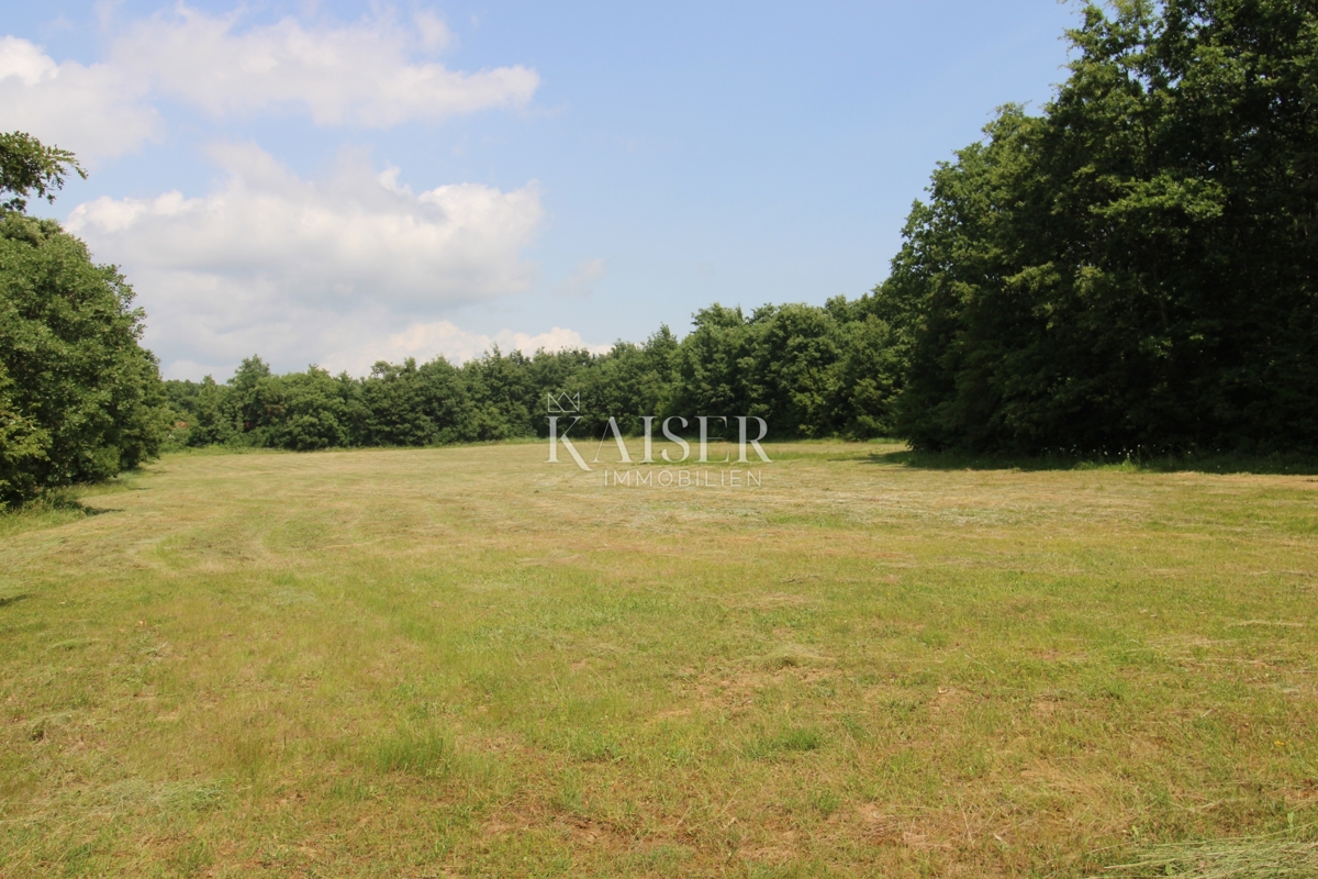 Kmetijsko zemljišče Labin, 13.720m2