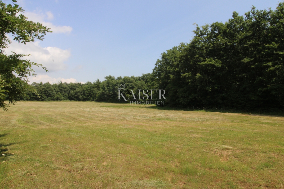 Kmetijsko zemljišče Labin, 13.720m2