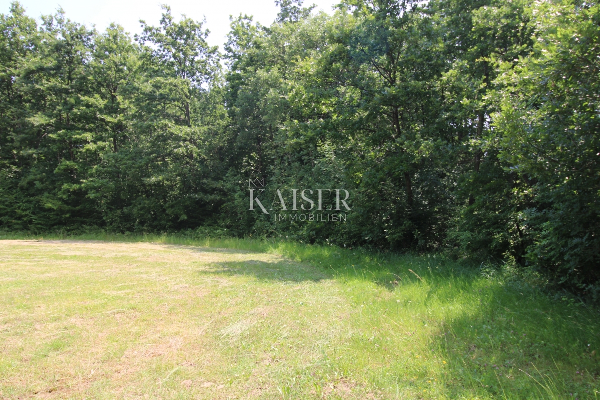 Kmetijsko zemljišče Labin, 13.720m2