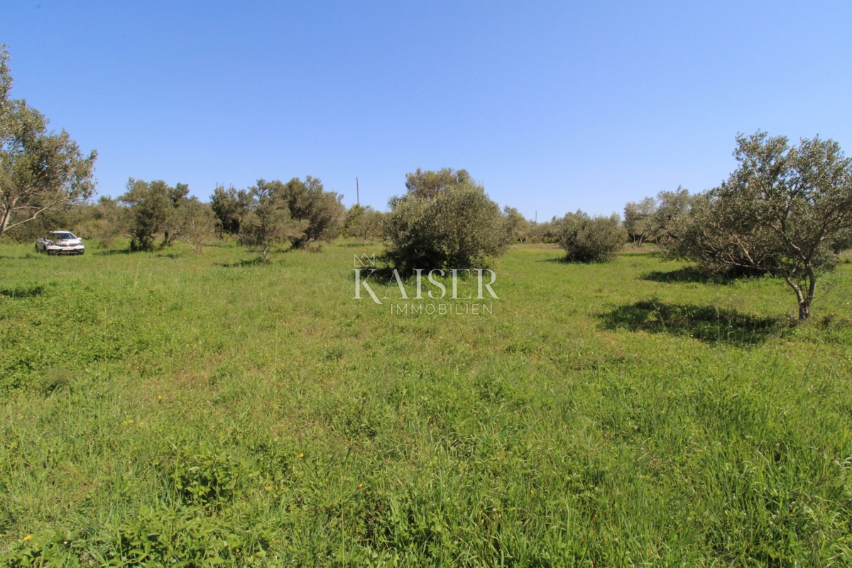 Zadar, Turanj - Privlačno urejeno gradbeno zemljišče 