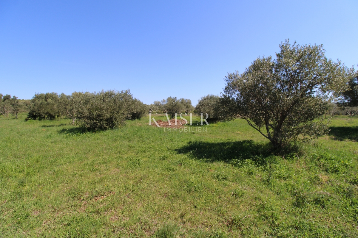 Zadar, Turanj - Privlačno urejeno gradbeno zemljišče 