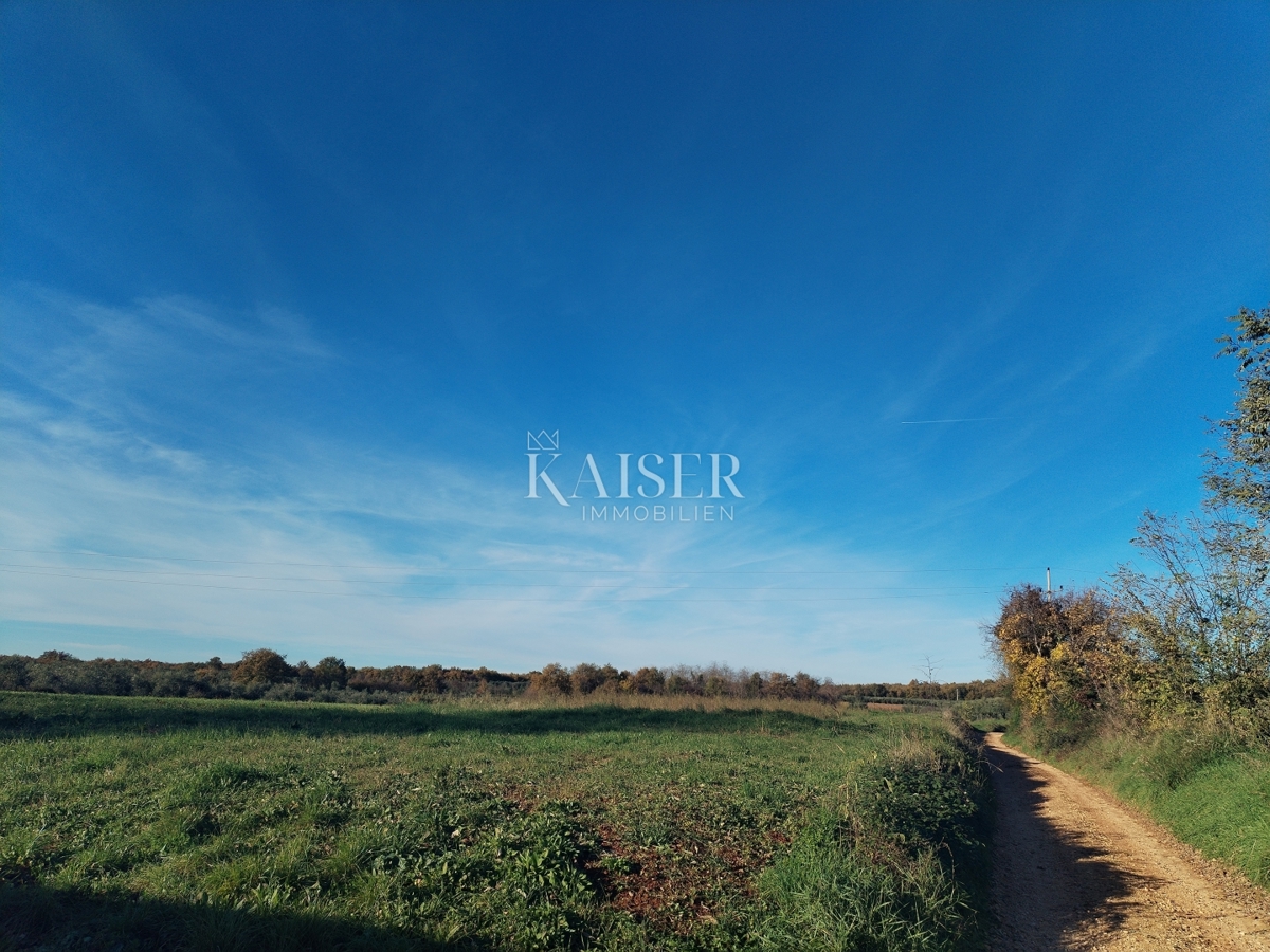 Istra, Brtonigla, Fiorini, gradbeno zemljišče 536 m2