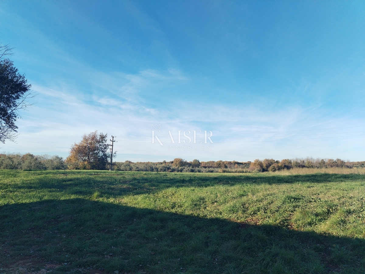 Istra, Brtonigla, Fiorini, gradbeno zemljišče 536 m2