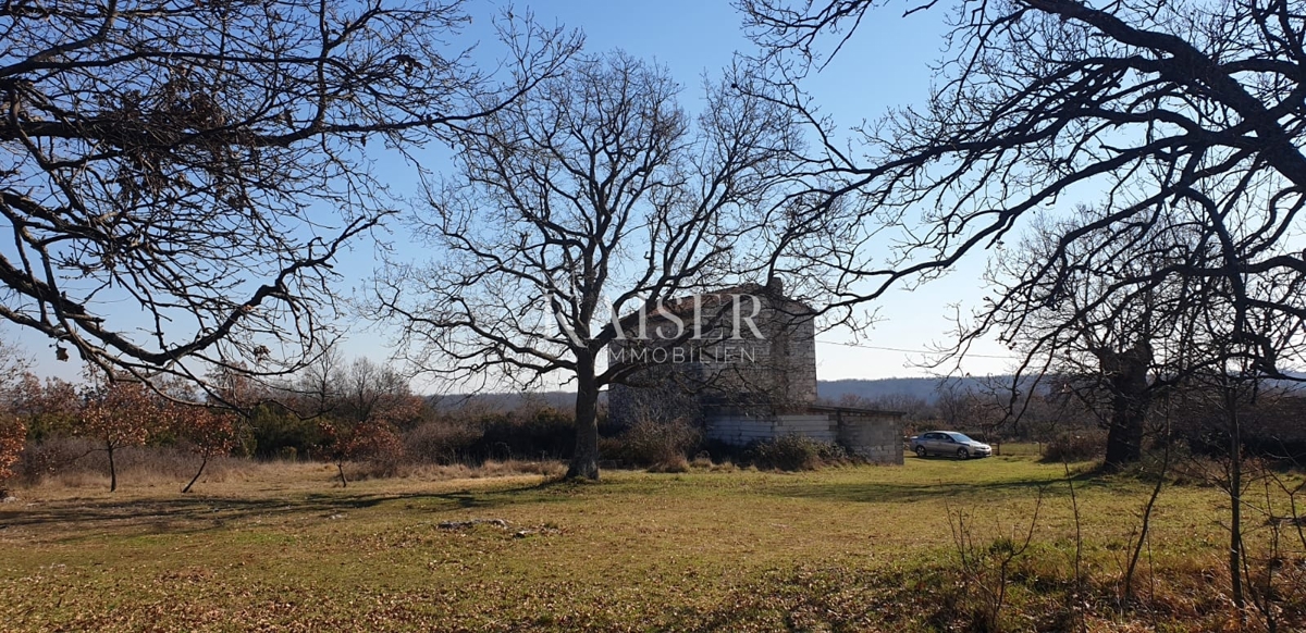 Istra, Krnica - pristna istrska kmetija 7000m2