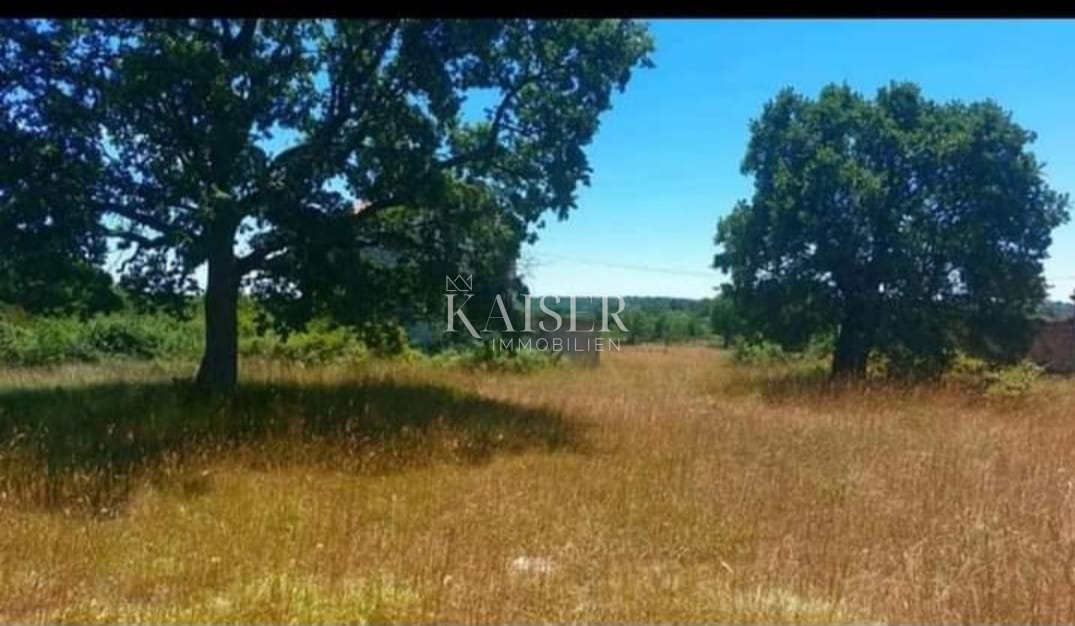 Istra, Krnica - pristna istrska kmetija 7000m2