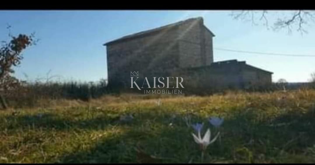 Istra, Krnica - pristna istrska kmetija 7000m2