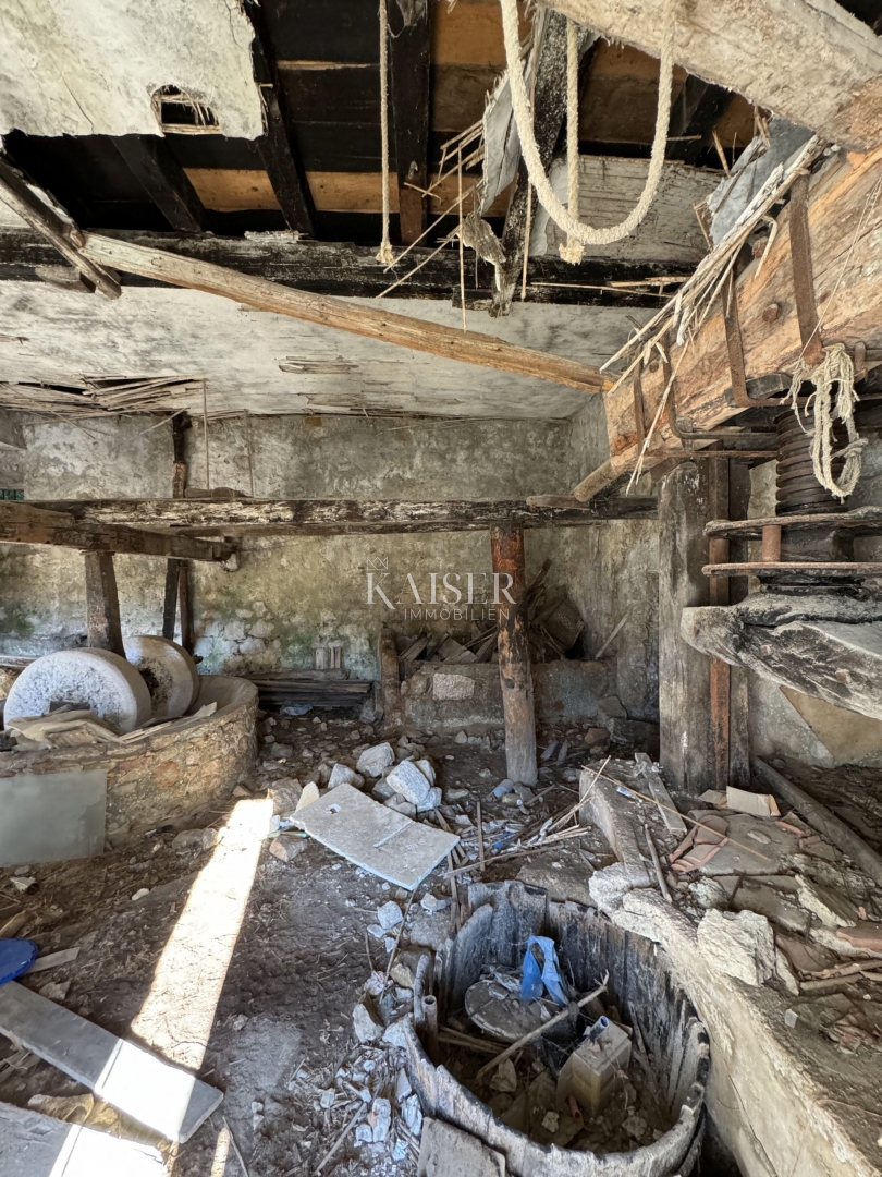 Otok Šipan - Počitniška hiša v Šipanski Luki