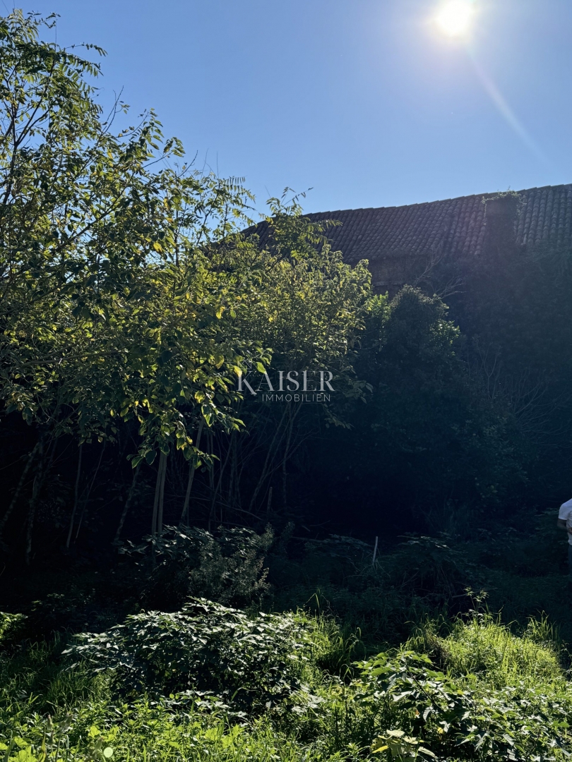 Otok Šipan - Počitniška hiša v Šipanski Luki