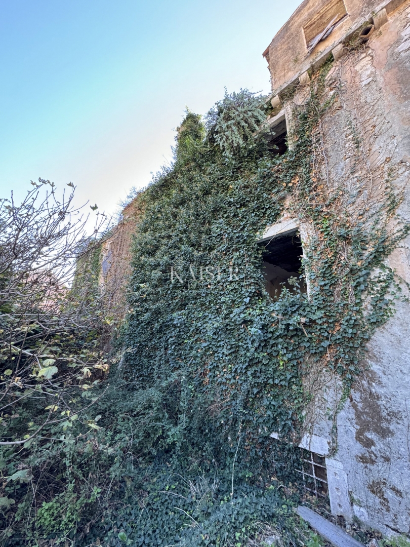 Otok Šipan - Počitniška hiša v Šipanski Luki