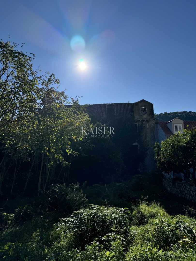 Otok Šipan - Počitniška hiša v Šipanski Luki