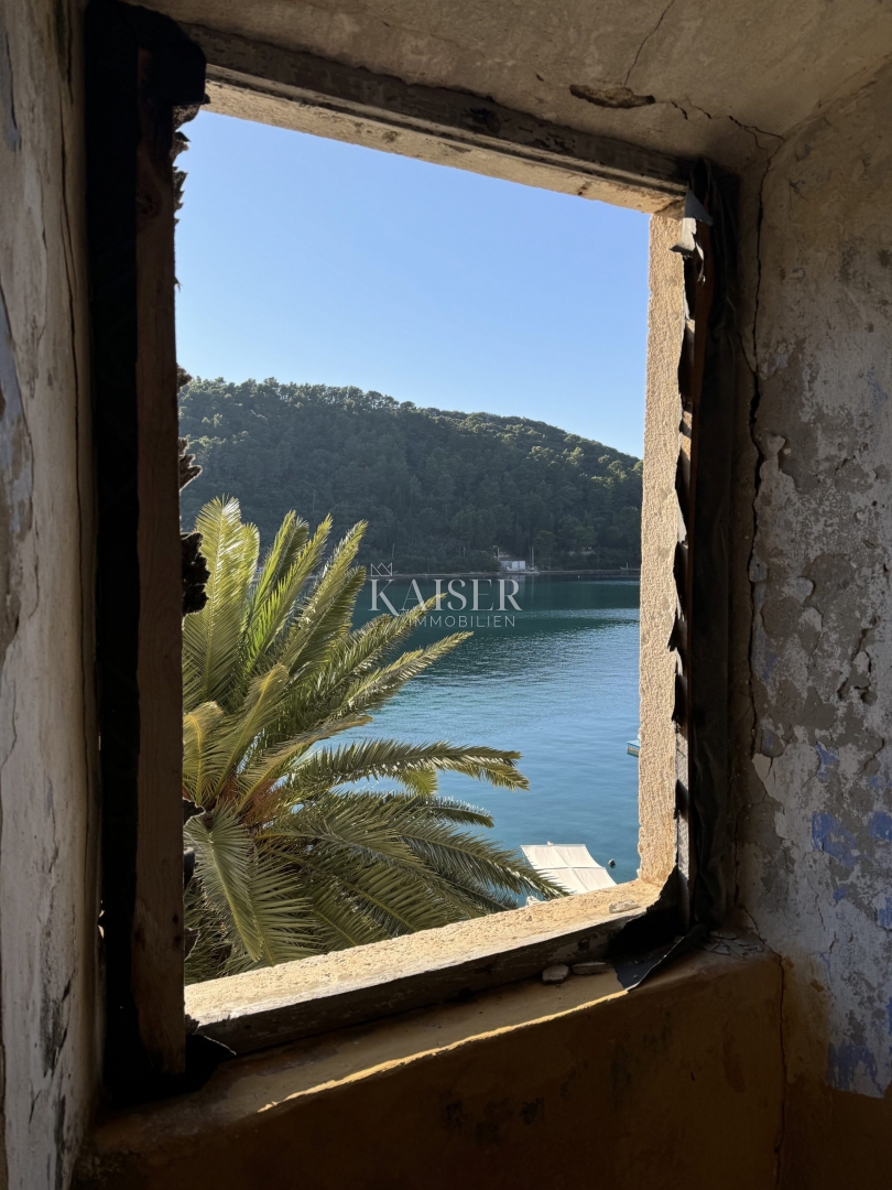 Otok Šipan - Počitniška hiša v Šipanski Luki