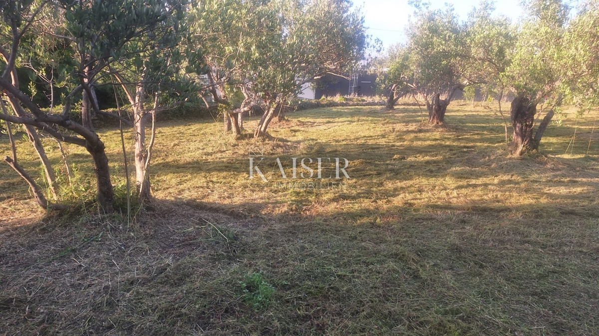 Otok Pašman – gradbeno zemljišče 1411 m2