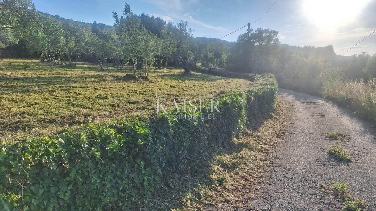 Otok Pašman – gradbeno zemljišče 1411 m2