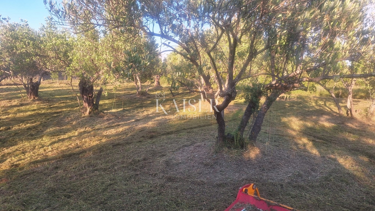 Otok Pašman – gradbeno zemljišče 1411 m2