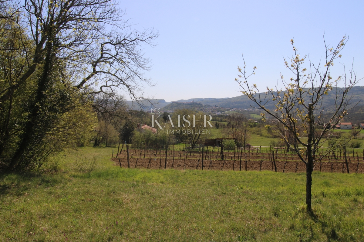 Istra - Buzet, hiša z zemljiščem na 20000 m2