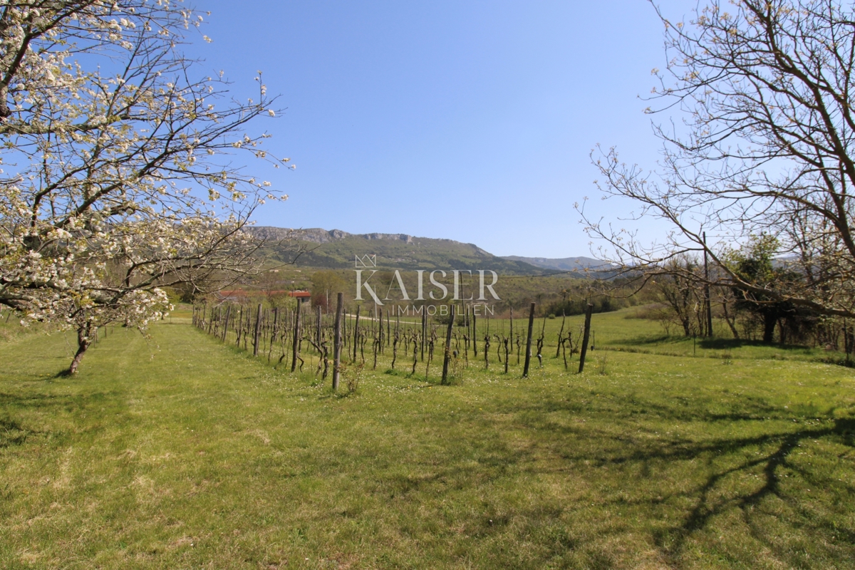 Istra - Buzet, hiša z zemljiščem na 20000 m2