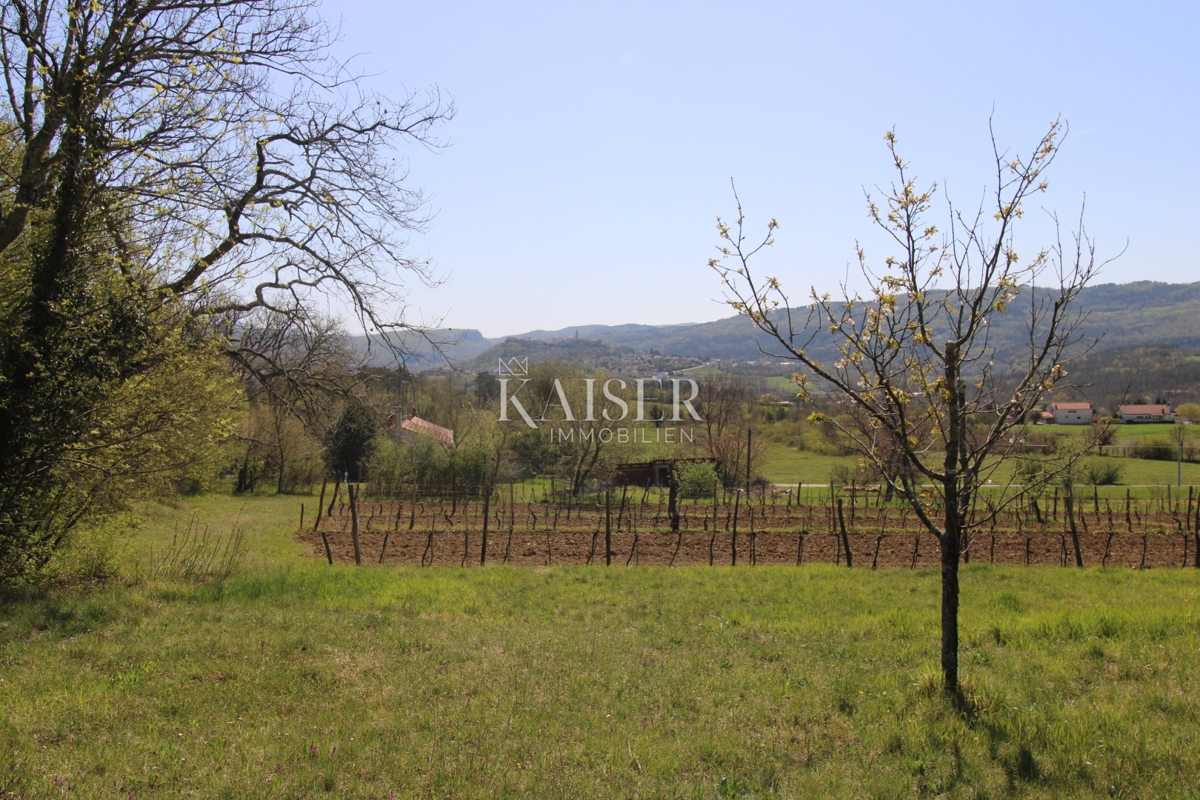 Istra - Buzet, hiša z zemljiščem na 20000 m2